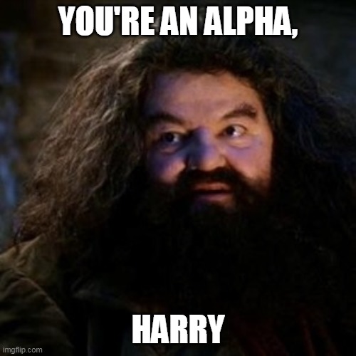 You're a wizard harry | YOU'RE AN ALPHA, HARRY | image tagged in you're a wizard harry | made w/ Imgflip meme maker