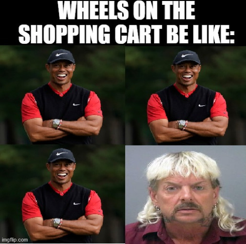 Tiger Shopping Cart Wheels | image tagged in tiger,shopping cart,wheels | made w/ Imgflip meme maker