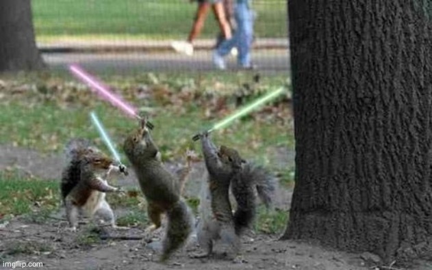 Squirrels With Light Sabers | image tagged in squirrels with light sabers | made w/ Imgflip meme maker