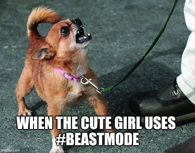 When we know you only want likes on your post | WHEN THE CUTE GIRL USES 
#BEASTMODE | image tagged in gym,fake people,beast mode | made w/ Imgflip meme maker