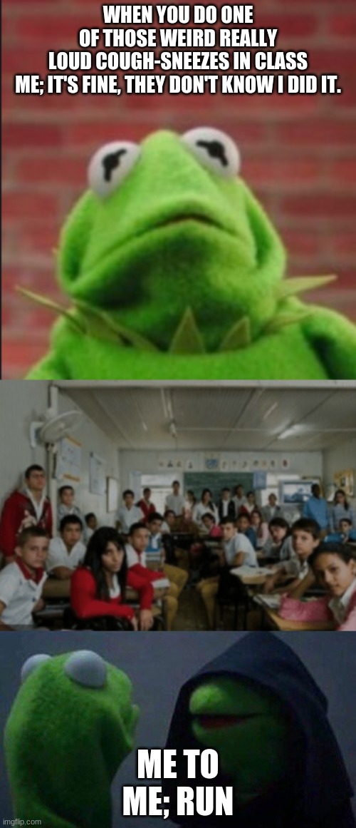 WHEN YOU DO ONE OF THOSE WEIRD REALLY LOUD COUGH-SNEEZES IN CLASS

ME; IT'S FINE, THEY DON'T KNOW I DID IT. ME TO ME; RUN | image tagged in kermit me to me | made w/ Imgflip meme maker