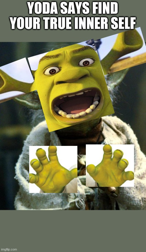 Star Wars Yoda Meme | YODA SAYS FIND YOUR TRUE INNER SELF | image tagged in memes,star wars yoda | made w/ Imgflip meme maker