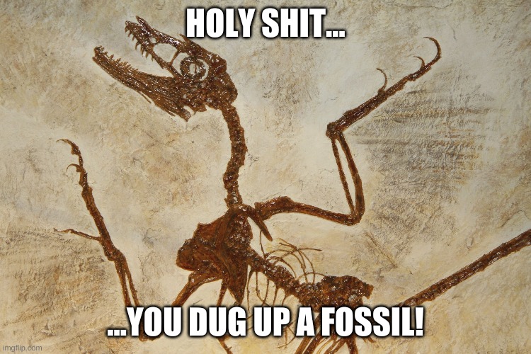 What N' Fossilization | HOLY SHIT... ...YOU DUG UP A FOSSIL! | image tagged in what n' fossilization | made w/ Imgflip meme maker
