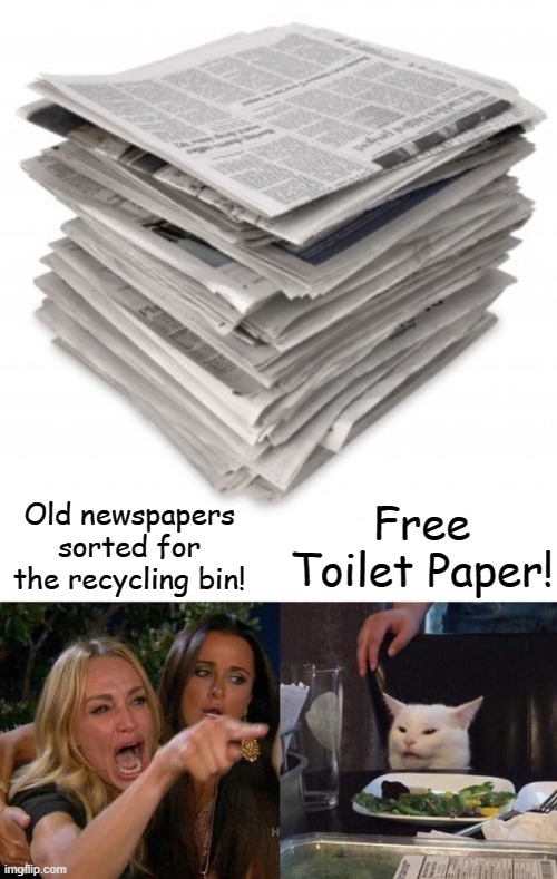 That's a wipe to the right! | Free Toilet Paper! Old newspapers sorted for the recycling bin! | image tagged in memes,woman yelling at cat,toilet paper,coronavirus,recycling | made w/ Imgflip meme maker
