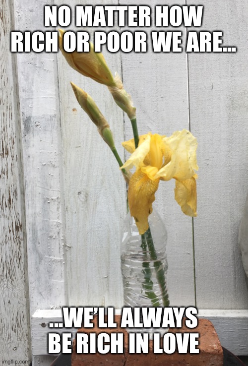 Yellow Gladiola | NO MATTER HOW RICH OR POOR WE ARE... ...WE’LL ALWAYS BE RICH IN LOVE | image tagged in yellow gladiola | made w/ Imgflip meme maker