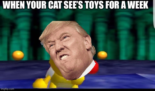 Scared Koopa 2.0 | WHEN YOUR CAT SEE’S TOYS FOR A WEEK | image tagged in scared koopa 20 | made w/ Imgflip meme maker