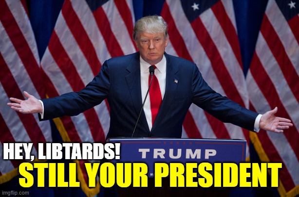Donald Trump | HEY, LIBTARDS! STILL YOUR PRESIDENT | image tagged in donald trump | made w/ Imgflip meme maker