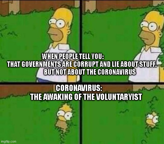 Homer Simpson in Bush - Large | WHEN PEOPLE TELL YOU:                 THAT GOVERNMENTS ARE CORRUPT AND LIE ABOUT STUFF.                  BUT NOT ABOUT THE CORONAVIRUS; CORONAVIRUS:            THE AWAKING OF THE VOLUNTARYIST | image tagged in homer simpson in bush - large | made w/ Imgflip meme maker