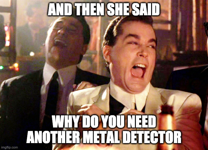 Good Fellas Hilarious Meme | AND THEN SHE SAID; WHY DO YOU NEED ANOTHER METAL DETECTOR | image tagged in memes,good fellas hilarious | made w/ Imgflip meme maker