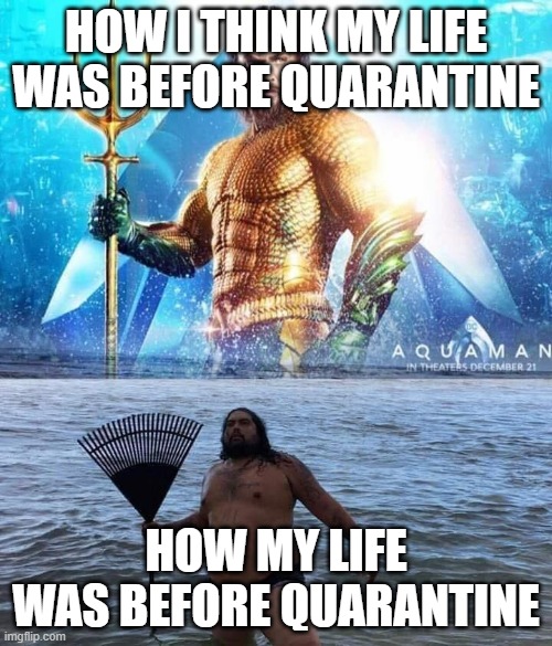 me vs reality - aquaman | HOW I THINK MY LIFE WAS BEFORE QUARANTINE; HOW MY LIFE WAS BEFORE QUARANTINE | image tagged in me vs reality - aquaman | made w/ Imgflip meme maker