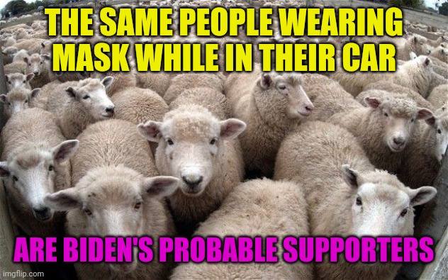sheeple | THE SAME PEOPLE WEARING MASK WHILE IN THEIR CAR ARE BIDEN'S PROBABLE SUPPORTERS | image tagged in sheeple | made w/ Imgflip meme maker
