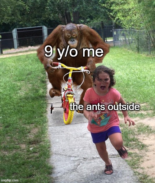 Orangutan chasing girl on a tricycle | 9 y/o me; the ants outside | image tagged in orangutan chasing girl on a tricycle | made w/ Imgflip meme maker