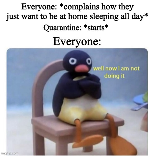 Everyone: *complains how they just want to be at home sleeping all day*; Quarantine: *starts*; Everyone: | image tagged in blank white template,well now i am not doing it | made w/ Imgflip meme maker
