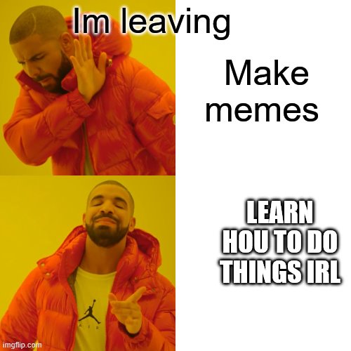 Drake Hotline Bling Meme | Im leaving; Make memes; LEARN HOU TO DO THINGS IRL | image tagged in memes,drake hotline bling | made w/ Imgflip meme maker