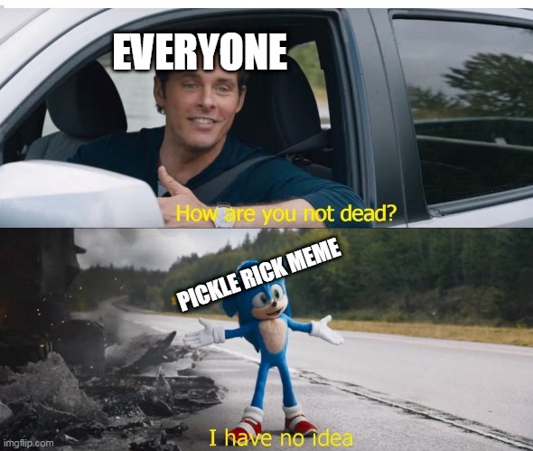 sonic how are you not dead | EVERYONE; PICKLE RICK MEME | image tagged in sonic how are you not dead | made w/ Imgflip meme maker