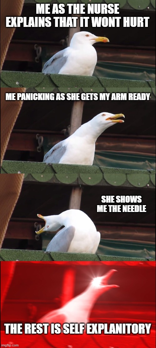 Inhaling Seagull Meme | ME AS THE NURSE EXPLAINS THAT IT WONT HURT; ME PANICKING AS SHE GETS MY ARM READY; SHE SHOWS ME THE NEEDLE; THE REST IS SELF EXPLANITORY | image tagged in memes,inhaling seagull | made w/ Imgflip meme maker