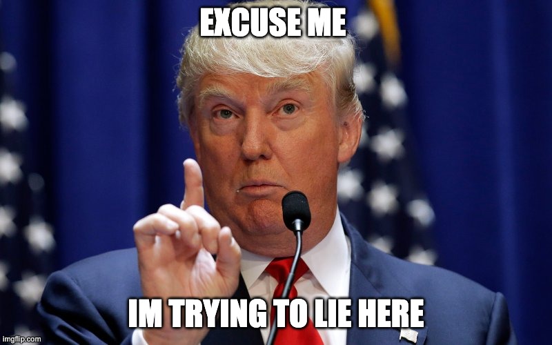 Donald Trump | EXCUSE ME; IM TRYING TO LIE HERE | image tagged in donald trump | made w/ Imgflip meme maker
