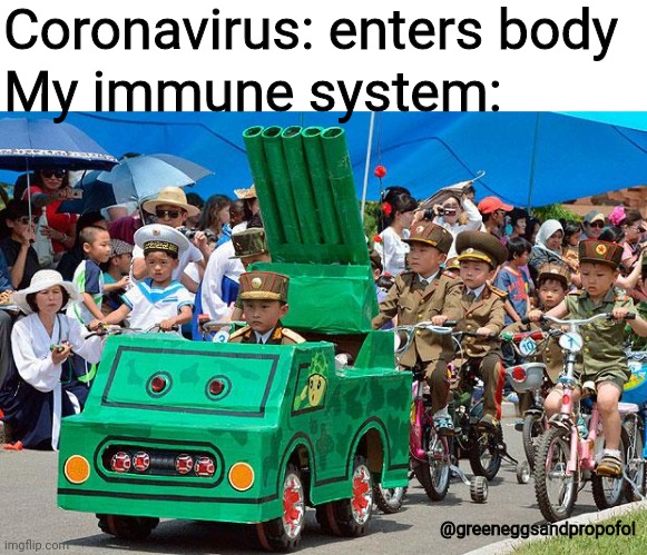 North Korean army | Coronavirus: enters body; My immune system:; @greeneggsandpropofol | image tagged in north korean army,memes,covid-19 | made w/ Imgflip meme maker