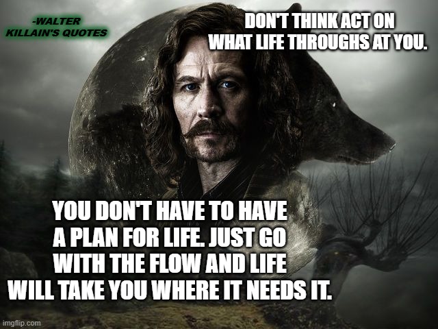 -WALTER KILLAIN'S QUOTES; DON'T THINK ACT ON WHAT LIFE THROUGHS AT YOU. YOU DON'T HAVE TO HAVE A PLAN FOR LIFE. JUST GO WITH THE FLOW AND LIFE WILL TAKE YOU WHERE IT NEEDS IT. | image tagged in sirius black,walter killian's quotes,life,harry potter | made w/ Imgflip meme maker