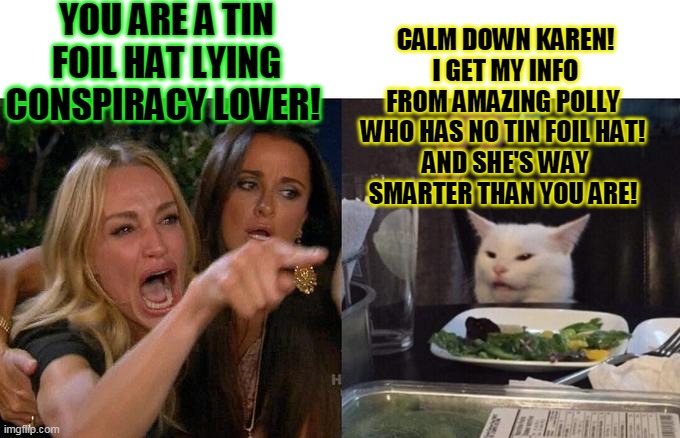 YOU ARE A TIN FOIL HAT LYING CONSPIRACY LOVER! CALM DOWN KAREN!
I GET MY INFO FROM AMAZING POLLY 
WHO HAS NO TIN FOIL HAT! 
AND SHE'S WAY SMARTER THAN YOU ARE! | made w/ Imgflip meme maker