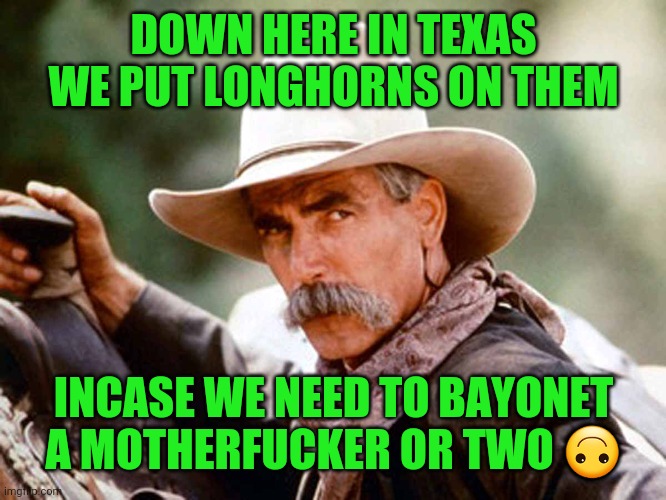 Sam Elliott Cowboy | DOWN HERE IN TEXAS WE PUT LONGHORNS ON THEM INCASE WE NEED TO BAYONET A MOTHERF**KER OR TWO ? | image tagged in sam elliott cowboy | made w/ Imgflip meme maker