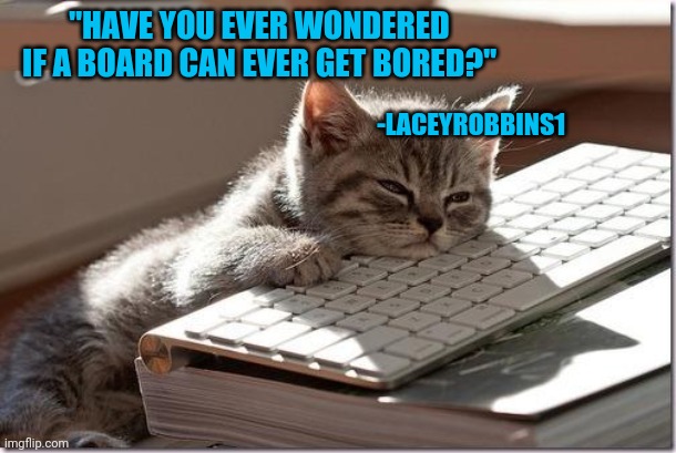 Bored Keyboard Cat | "HAVE YOU EVER WONDERED IF A BOARD CAN EVER GET BORED?"; -LACEYROBBINS1 | image tagged in bored keyboard cat | made w/ Imgflip meme maker