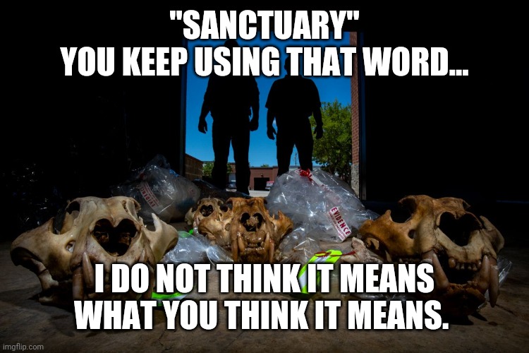 Tiger skulls | "SANCTUARY"
YOU KEEP USING THAT WORD... I DO NOT THINK IT MEANS WHAT YOU THINK IT MEANS. | image tagged in tiger skulls | made w/ Imgflip meme maker