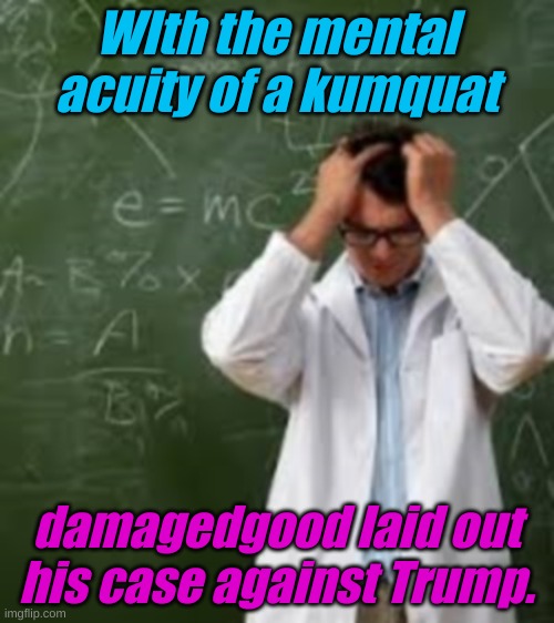 Frustrated scientist | WIth the mental acuity of a kumquat damagedgood laid out his case against Trump. | image tagged in frustrated scientist | made w/ Imgflip meme maker