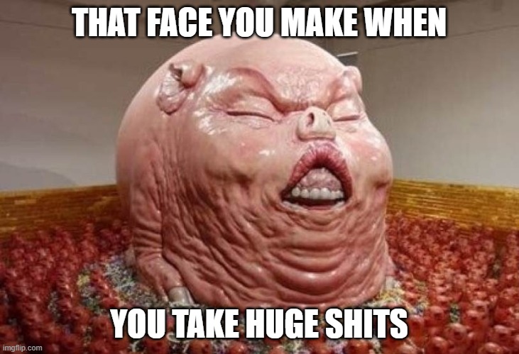 Constipated Pig | THAT FACE YOU MAKE WHEN; YOU TAKE HUGE SHITS | image tagged in constipated pig | made w/ Imgflip meme maker