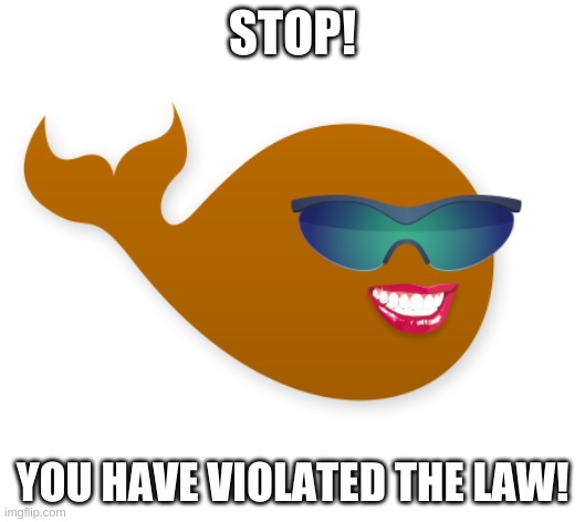 STOP! YOU HAVE VIOLATED THE LAW! | image tagged in police | made w/ Imgflip meme maker