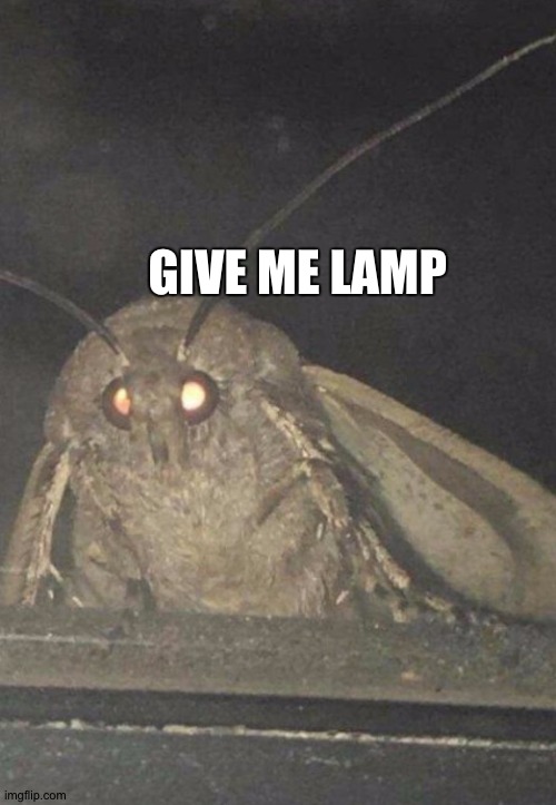 Lamp | GIVE ME LAMP | image tagged in moth | made w/ Imgflip meme maker