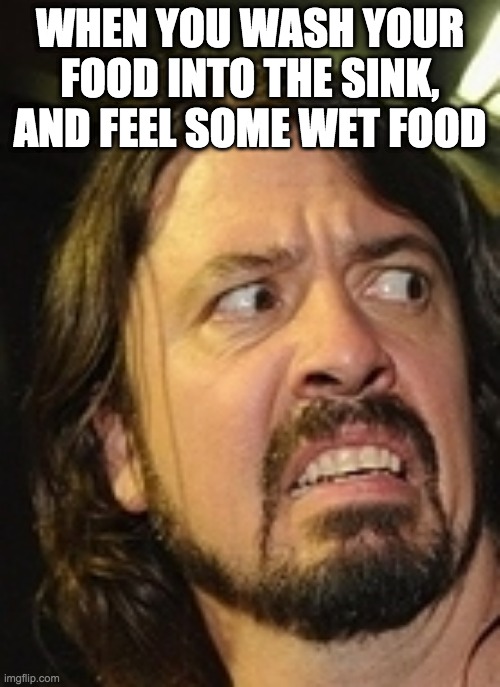 Dave Grohl EW | WHEN YOU WASH YOUR FOOD INTO THE SINK, AND FEEL SOME WET FOOD | image tagged in dave grohl ew | made w/ Imgflip meme maker