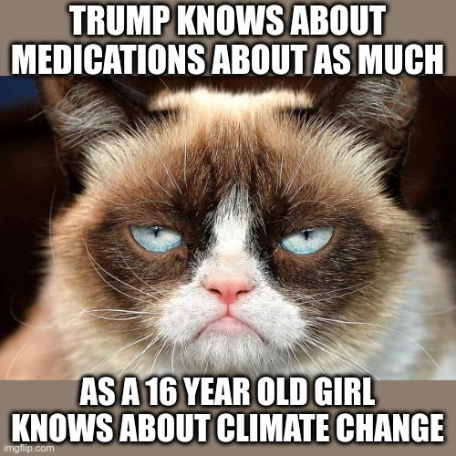 Grumpy Cat Not Amused | TRUMP KNOWS ABOUT MEDICATIONS ABOUT AS MUCH; AS A 16 YEAR OLD GIRL KNOWS ABOUT CLIMATE CHANGE | image tagged in memes,grumpy cat not amused,grumpy cat | made w/ Imgflip meme maker