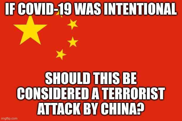 china flag | IF COVID-19 WAS INTENTIONAL; SHOULD THIS BE CONSIDERED A TERRORIST ATTACK BY CHINA? | image tagged in china flag | made w/ Imgflip meme maker