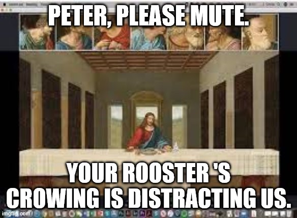 PETER, PLEASE MUTE. YOUR ROOSTER 'S CROWING IS DISTRACTING US. | made w/ Imgflip meme maker