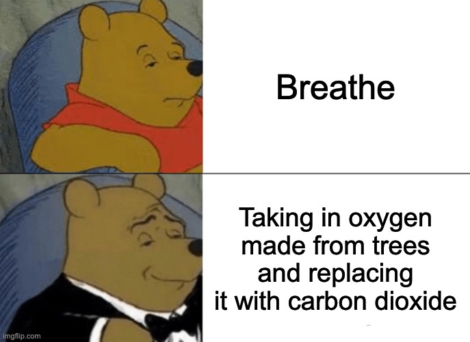 Tuxedo Winnie The Pooh | Breathe; Taking in oxygen made from trees and replacing it with carbon dioxide | image tagged in memes,tuxedo winnie the pooh | made w/ Imgflip meme maker