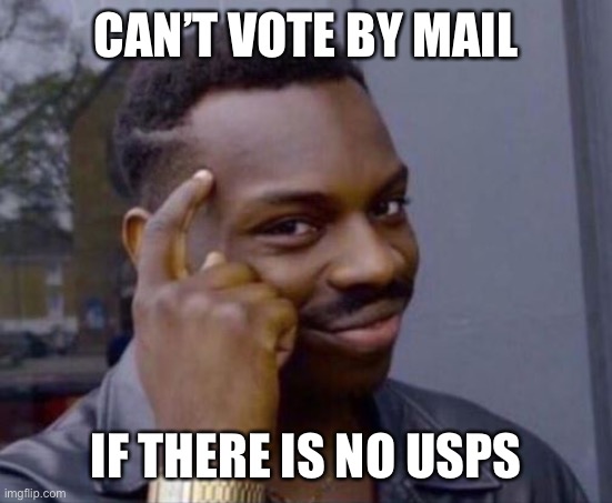 Smart Guy | CAN’T VOTE BY MAIL; IF THERE IS NO USPS | image tagged in smart guy | made w/ Imgflip meme maker