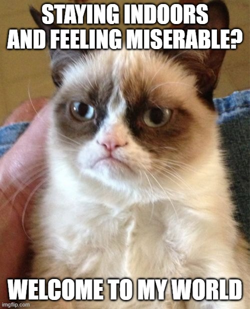 Grumpy Cat | STAYING INDOORS AND FEELING MISERABLE? WELCOME TO MY WORLD | image tagged in memes,grumpy cat | made w/ Imgflip meme maker