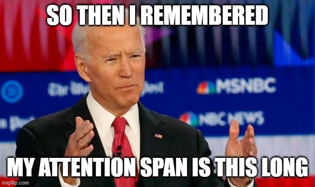 Joe Biden | SO THEN I REMEMBERED; MY ATTENTION SPAN IS THIS LONG | image tagged in quid pro joe biden,joe biden,attention,bad memory,speechless,funny memes | made w/ Imgflip meme maker