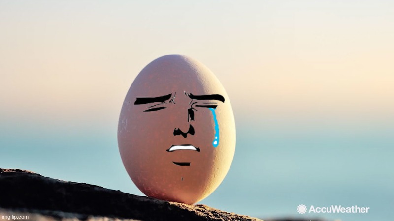 Sad Egg | image tagged in sad,egg,handsome | made w/ Imgflip meme maker