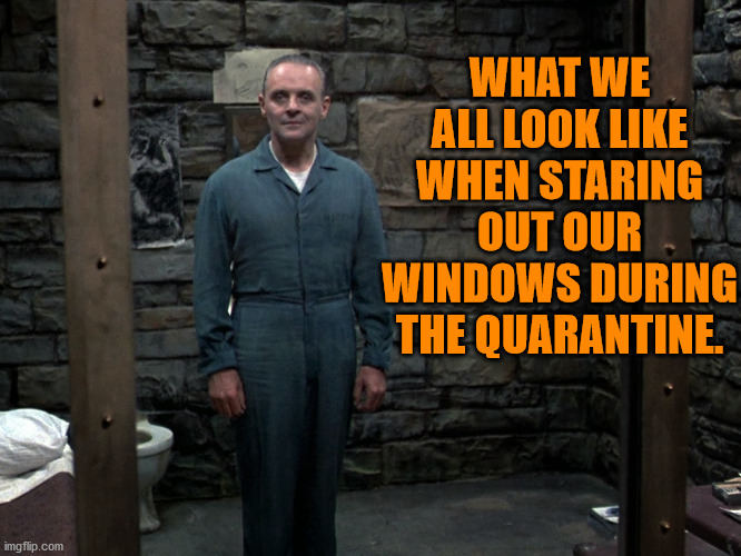 Hannibal Lecter | WHAT WE ALL LOOK LIKE WHEN STARING OUT OUR WINDOWS DURING THE QUARANTINE. | image tagged in hannibal lecter | made w/ Imgflip meme maker