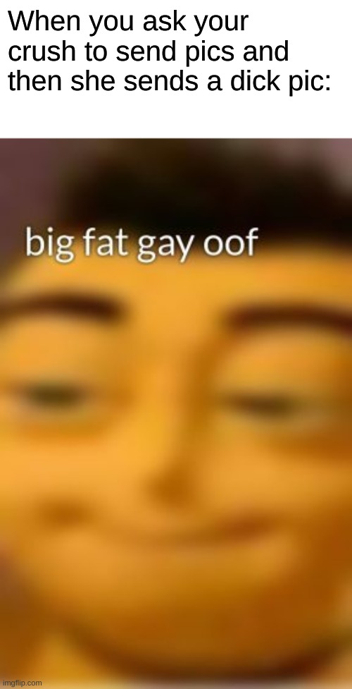 Big fat gay oof | When you ask your crush to send pics and then she sends a dick pic: | image tagged in big fat gay oof | made w/ Imgflip meme maker