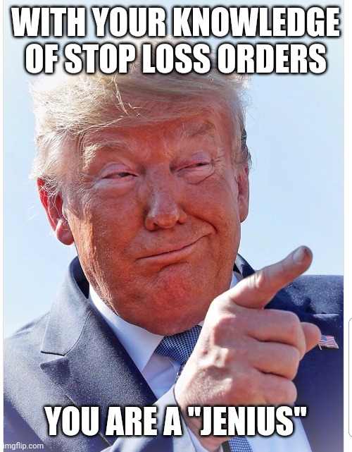 Trump pointing | WITH YOUR KNOWLEDGE OF STOP LOSS ORDERS YOU ARE A "JENIUS" | image tagged in trump pointing | made w/ Imgflip meme maker