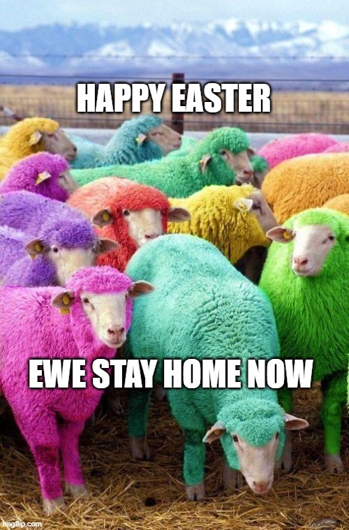 Easter Sheep | HAPPY EASTER; EWE STAY HOME NOW | image tagged in easter sheep | made w/ Imgflip meme maker