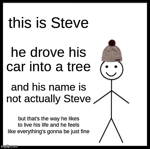 Be Like Bill | this is Steve; he drove his car into a tree; and his name is not actually Steve; but that's the way he likes to live his life and he feels like everything's gonna be just fine | image tagged in memes,be like bill | made w/ Imgflip meme maker