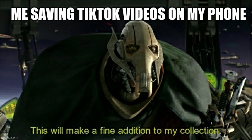 This will make a fine addition to my collection | ME SAVING TIKTOK VIDEOS ON MY PHONE | image tagged in this will make a fine addition to my collection | made w/ Imgflip meme maker