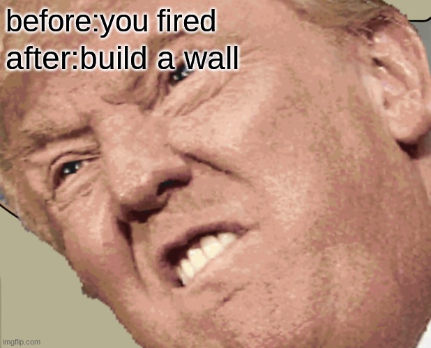 before - after | before:you fired; after:build a wall | image tagged in meme,donald trump,build the wall | made w/ Imgflip meme maker