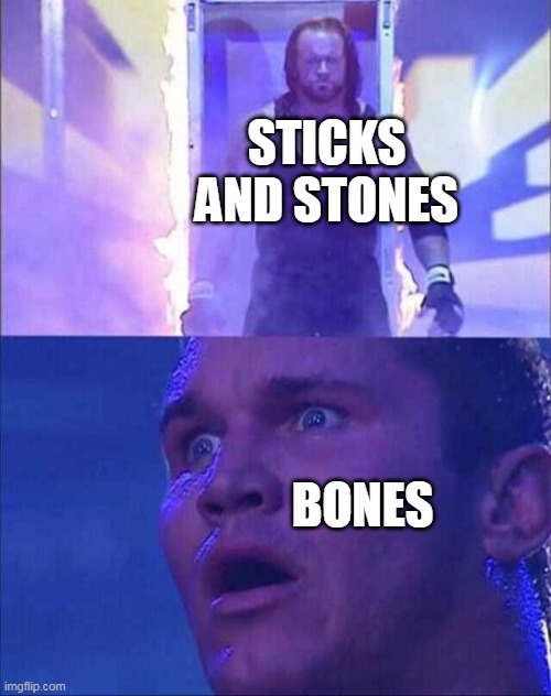 Wwe | STICKS AND STONES; BONES | image tagged in wwe | made w/ Imgflip meme maker