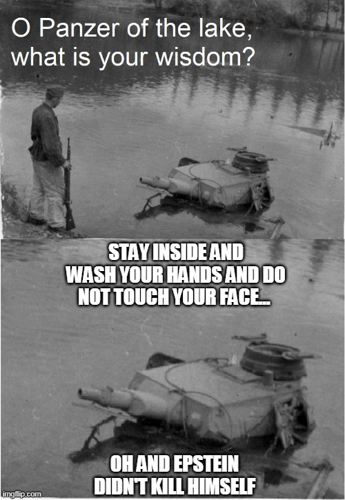 o panzer of the lake | STAY INSIDE AND WASH YOUR HANDS AND DO NOT TOUCH YOUR FACE... OH AND EPSTEIN DIDN'T KILL HIMSELF | image tagged in o panzer of the lake | made w/ Imgflip meme maker