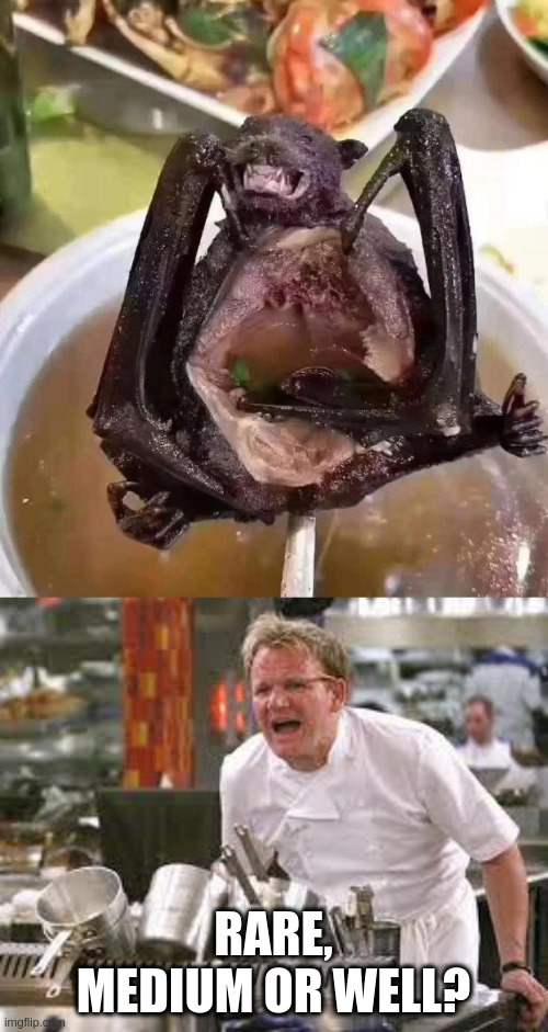 RARE, MEDIUM OR WELL? | image tagged in gordon ramsey,bat | made w/ Imgflip meme maker